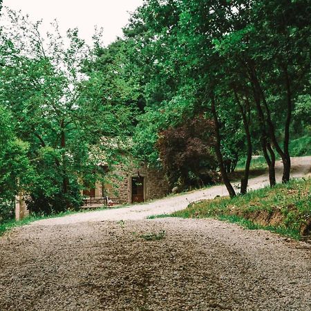 Parulia Country House Arezzo Exteriör bild