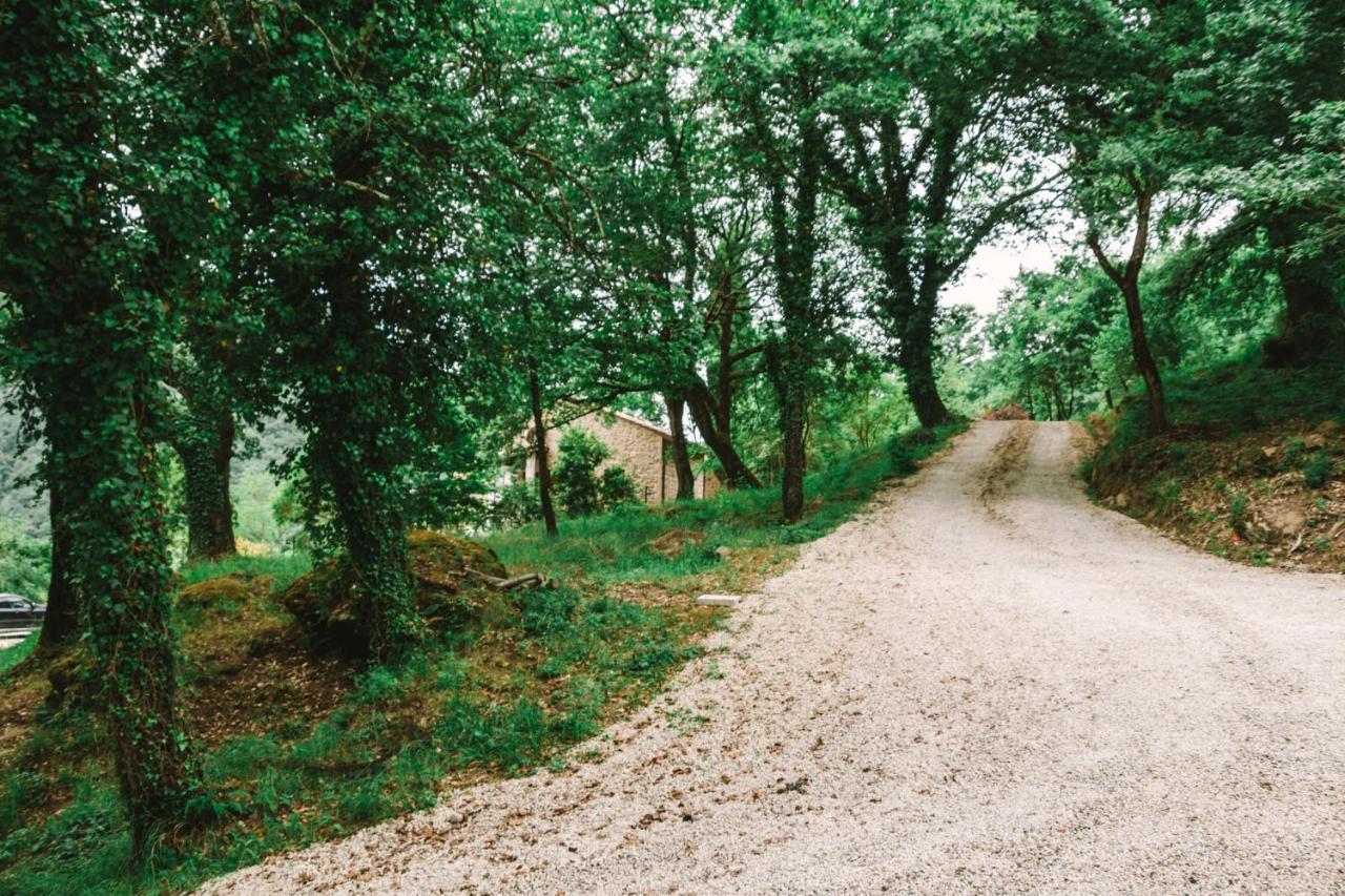 Parulia Country House Arezzo Exteriör bild